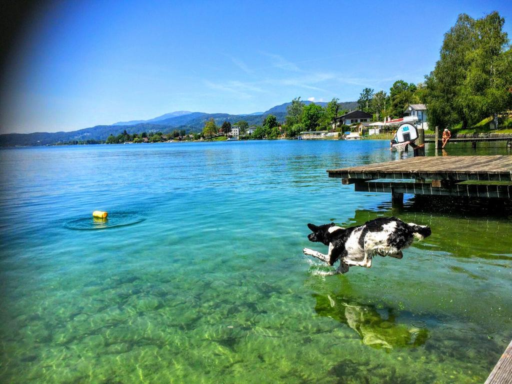 Appartements Allmaier Pörtschach am Wörthersee Екстериор снимка